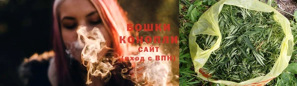 сатива Арсеньев
