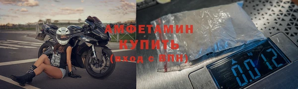 сатива Арсеньев