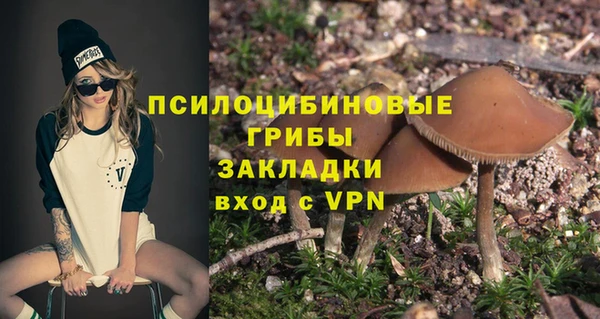 сатива Арсеньев
