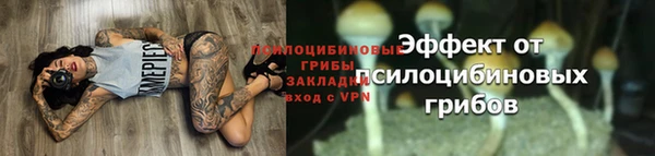 a pvp Аркадак