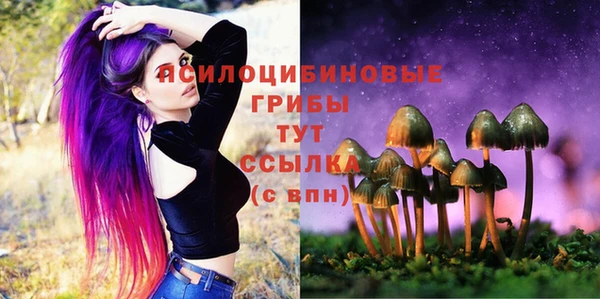 сатива Арсеньев