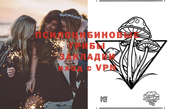 a pvp Аркадак
