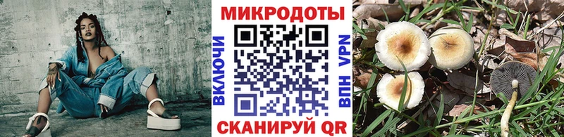 что такое наркотик  Перевоз  Галлюциногенные грибы Magic Shrooms 
