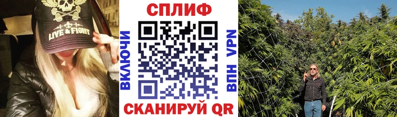 хочу наркоту  Перевоз  Конопля Bruce Banner 
